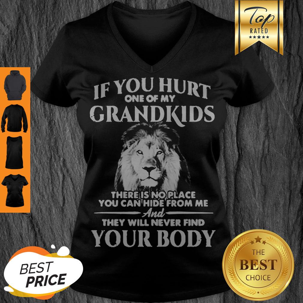 Lion If You Hurt One Of My Grandkids There Is No Place You Can Hide From Me V-neck