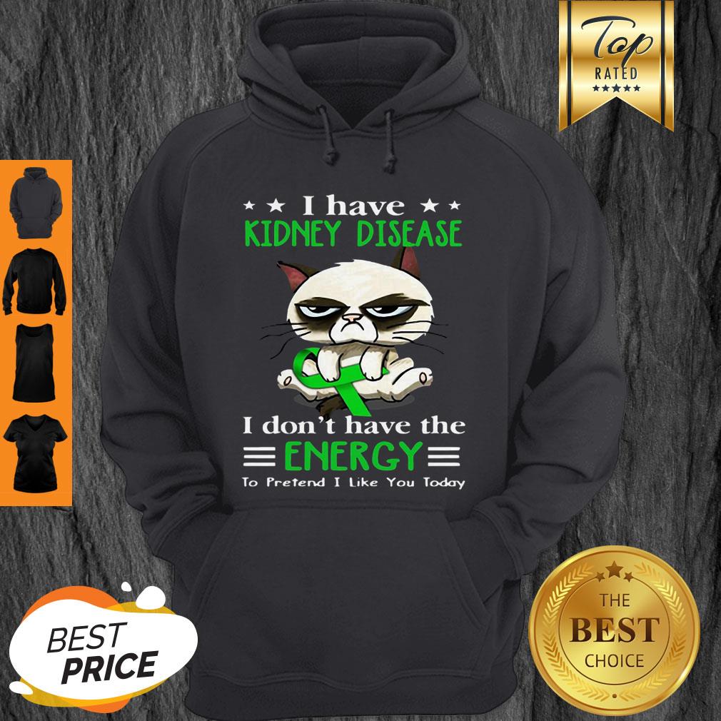 Grumpy Cat I Have Kidney Disease I Don’t Have The Energy Hoodie