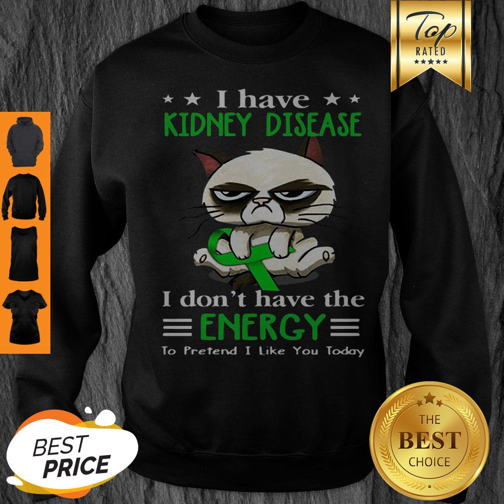 Grumpy Cat I Have Kidney Disease I Don’t Have The Energy Sweatshirt