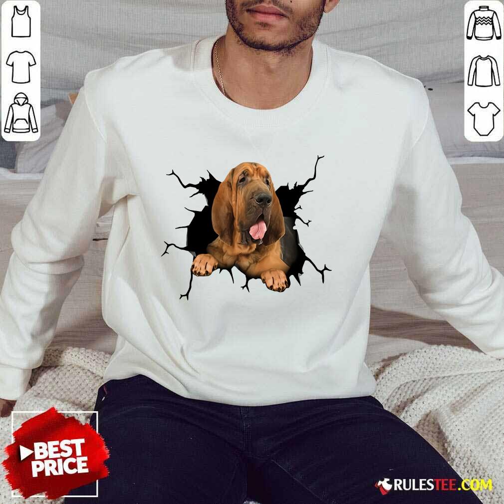 I Love Bloodhound Sweater