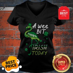 A Wee Bit Irish Today Green Flamingo St Patrick’s Day V-neck