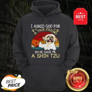 I Ask God For A True Friend So He Gave Me A Shih Tzu Vintage Hoodie