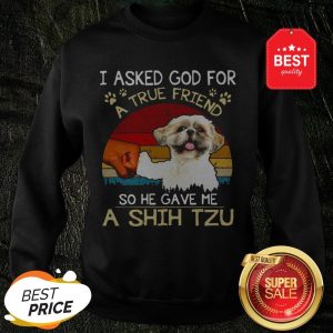 I Ask God For A True Friend So He Gave Me A Shih Tzu Vintage Sweatshirt