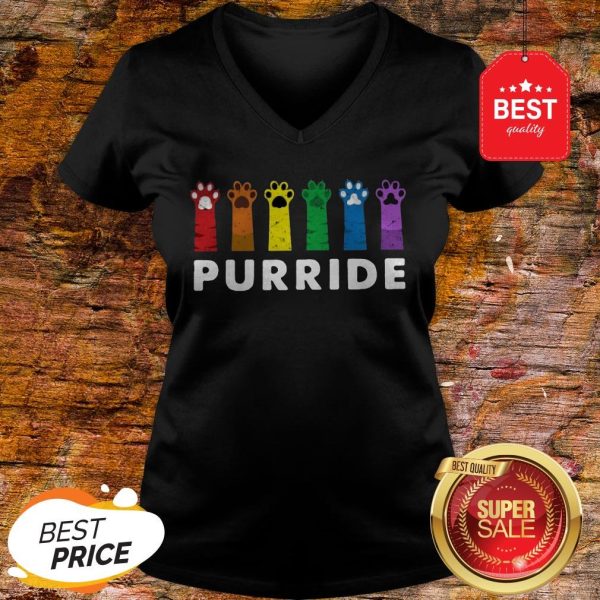 Official LGBT Cat Paws Purride V-neck