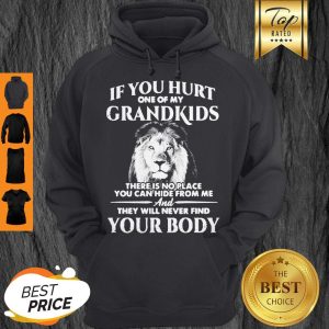 Lion If You Hurt One Of My Grandkids There Is No Place You Can Hide From Me Hoodie