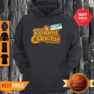 Date Me Please Yeah I Have Excellent Coochie Hoodie
