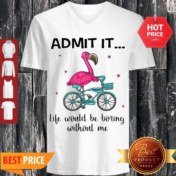 Flamingo Bike Admit It Life Would Be Boring Without Me V-neck
