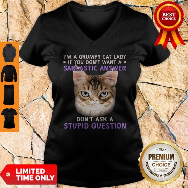 I’m A Grumpy Cat Lady If You Don’t Want A Sarcastic Answer Don’t Ask A Stupid Question V-neck