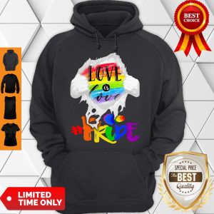 Official LGBT Love Is Love Pride Hoodie