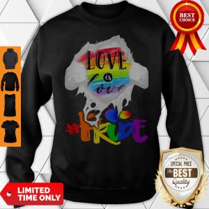 Official LGBT Love Is Love Pride Sweatshirt