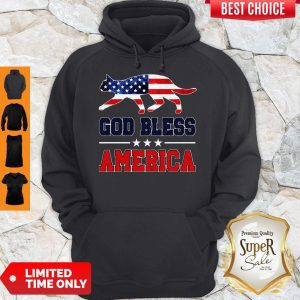 Official Cat God Bless America Flag Hoodie