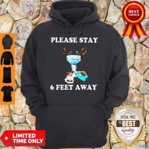 Official Chihuahua Mask Please Stay 6 Feet Away Hoodie
