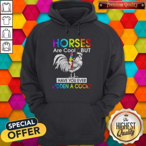 Horses Are Cool But Have You Ever Ridden A Cock LGBT Men Plain Front Hoodie