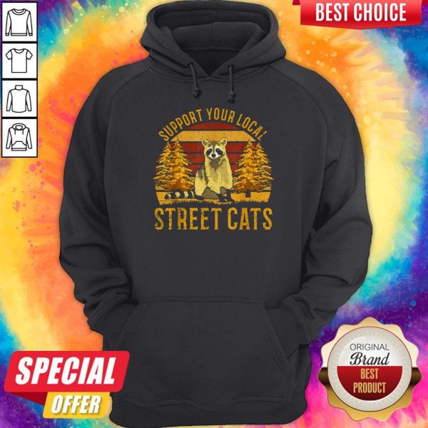 Support Your Local Street Cats Raccoon Sunset Hoodie