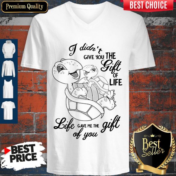 Turtle I Didn’t Give You The Gift Of Life V-neck