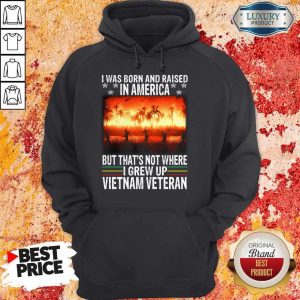 I Was Born And Raised In America But That’s Not Where I Frew Up Vietnam Veteran Hoodie