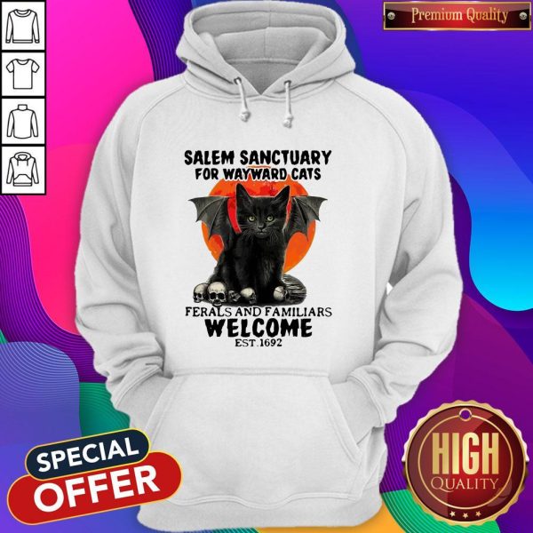 Salem Sanctuary For Wayward Cats Ferals And Familiars Welcome Est 1692 Blood Moon Hoodie