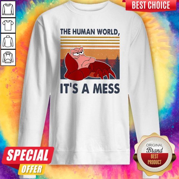 The Human World It’s A Mess Vintage Sweatshirt