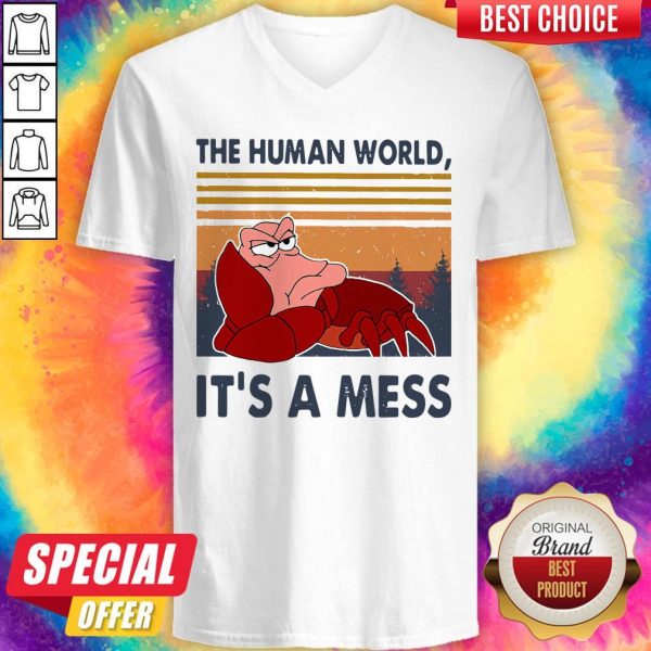 The Human World It’s A Mess Vintage V-neck