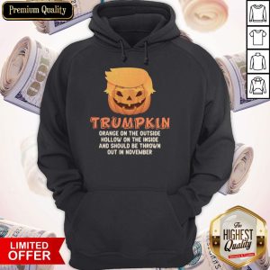 Trumpkin Orange On The Outside Hollow On The Inside And Should Be Thrown Out In November Hoodie