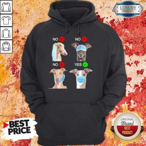 Cute Greyhound Dogs Right Way To Wear Mask Hoodie