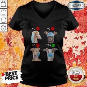 Cute Greyhound Dogs Right Way To Wear Mask V-neck