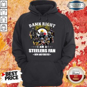 Damn Right I Am A Steelers Fan Now And Forever Hoodie