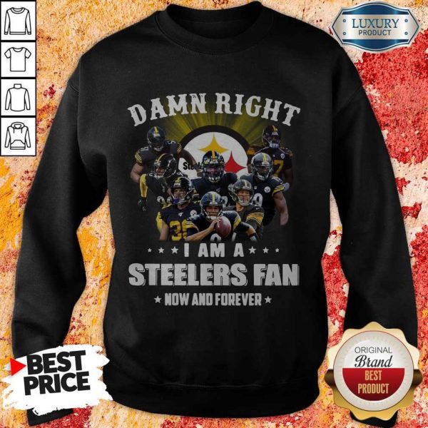 Damn Right I Am A Steelers Fan Now And Forever SweaDamn Right I Am A Steelers Fan Now And Forever Sweatshirttshirt