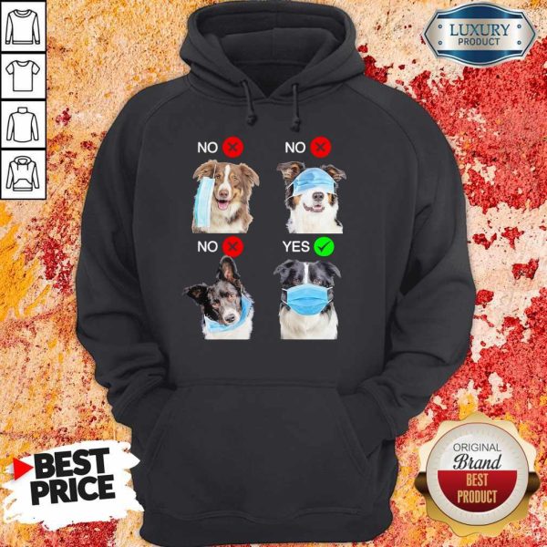 Funny Border Collie Dogs Right Way To Wear Mask Hoodie