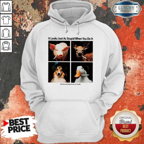 Good Animals with Cigars It Looks Just As Stupid When You Do It Hoodie