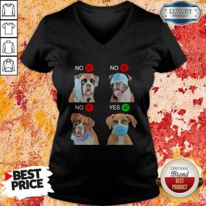 Nice Boxer Dogs Right Way To Wear Mask V-neck