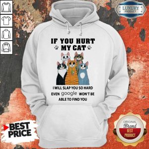 Nice If You Hurt My Cat I Will Slap You So Hard Even Google Won’t Be Able To Find You Hoodie