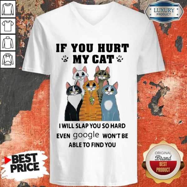 Nice If You Hurt My Cat I Will Slap You So Hard Even Google Won’t Be Able To Find You V-neck