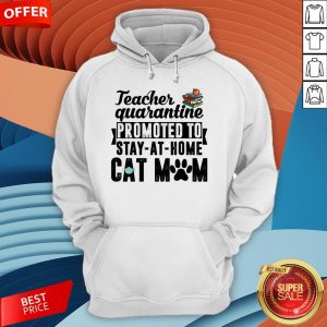 vTeacher Quarantined Promoted To Stay At Home Cat Mom Hoodie