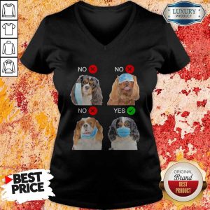 Top Cavalier King Charles Spaniel Dogs Right Way To Wear Mask V-neck