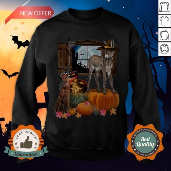 Funny Doneky Witch Halloween Sweatshirt