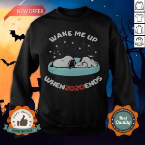 Snoopy Wake Me Up When 2020 Ends Sweatshirt