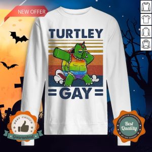 Turtley Gay Turtle Dabbing LGBT Vintage Sweatshirt