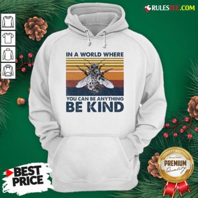 In A World Where You Can Be Anything Be Kind Vintage Hoodie - Design By Rulestee.com