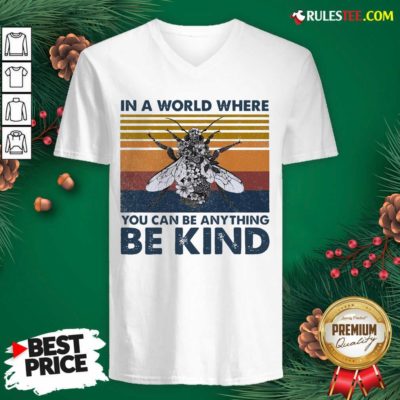 In A World Where You Can Be Anything Be Kind Vintage V-neck - Design By Rulestee.com