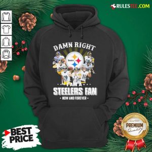 Best So Damn Right I Am A Pittsburgh Steelers Fan Now And Forever Signature Hoodie - Design By Rulestee.com
