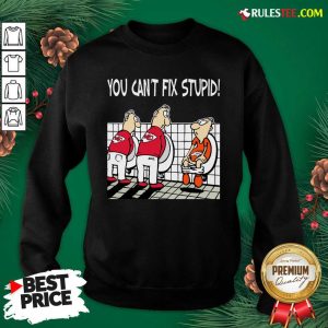 You Can’t Fix Stupid Funny Kansas City Chiefs NFL Sweatshirt- Design By Rulestee.com