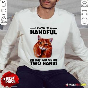 I Know I'm A Handful Cat Sweater