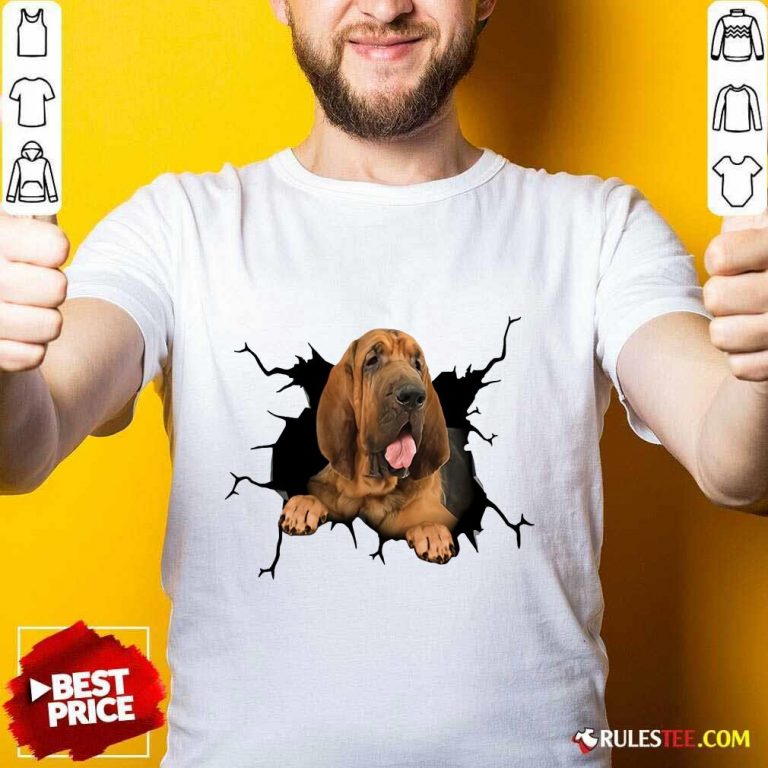 I Love Bloodhound Shirt