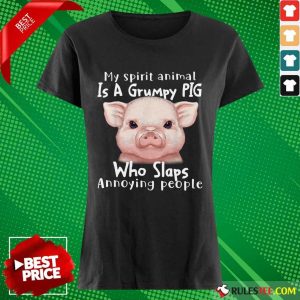 My Spirit Animal Is A Grumpy Pig Ladies Tee