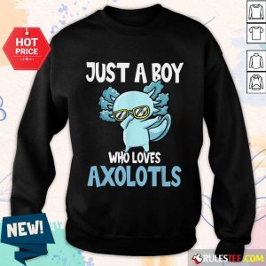 Just A Boy Axolotls Kawaii Sweater