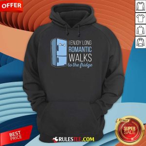 Nice Fridge I Enjoy Long Romantic Walks To The Fridge Hoodie