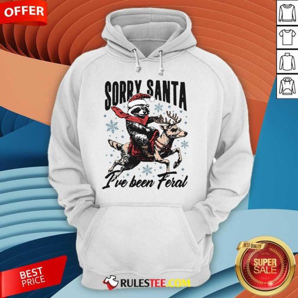 Funny Sorry Santa I've Been Feral Raccoon Riding Horse Hoodie