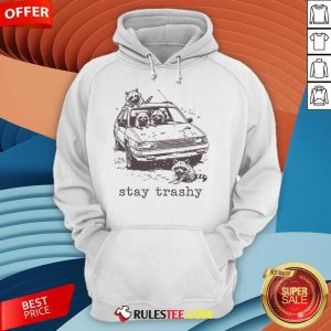 Funny Stay Trashy Trash Panda Meme Hoodie