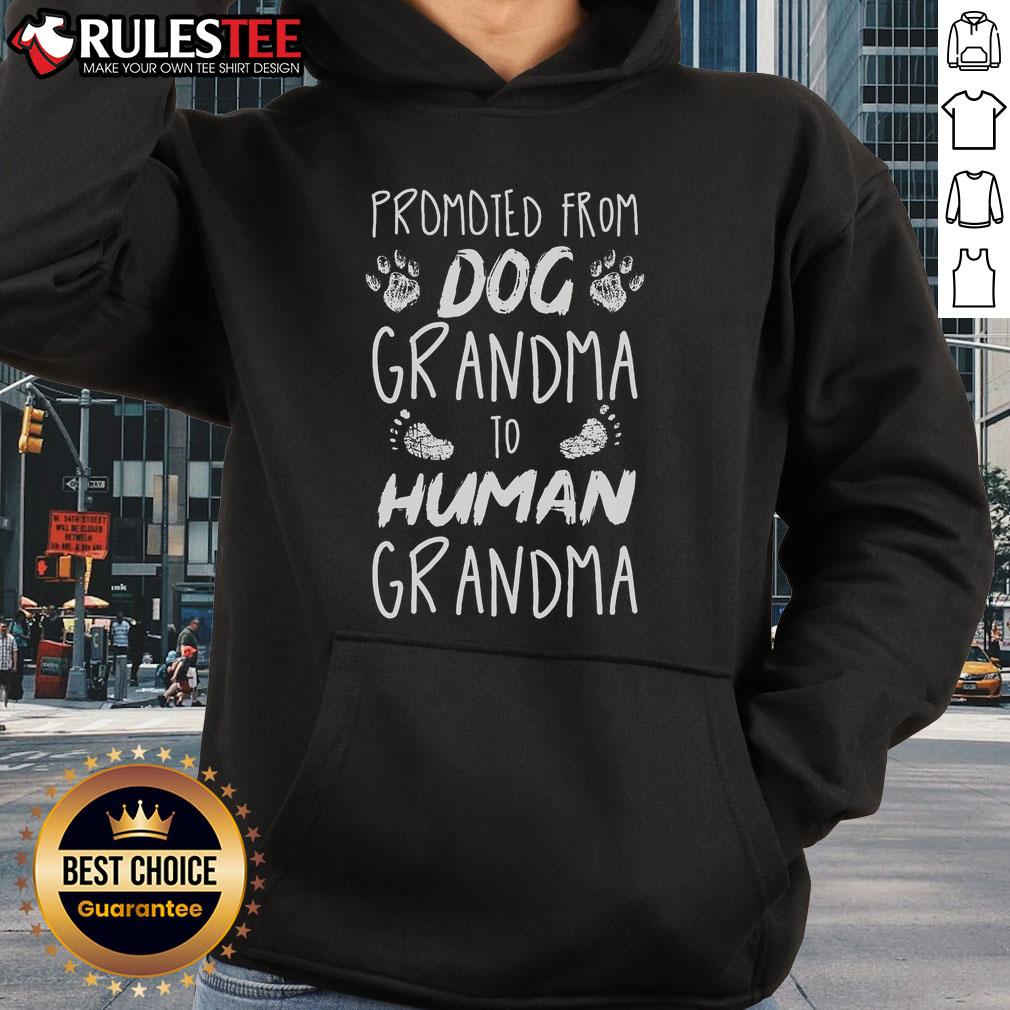 Funny hoodie 'Promoted From Dog Grandma To Human Grandma' showcasing a playful design perfect for pet-loving grandmas.